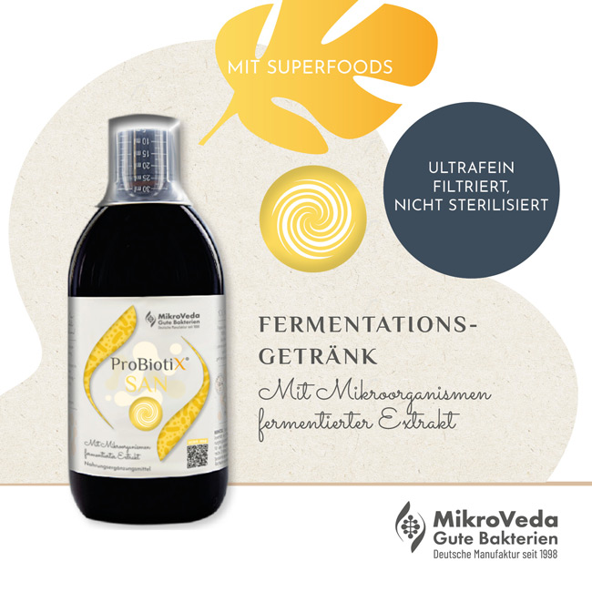 ProBiotiX SAN Fermentgetränk - lange Reifung, ultrafein filtriert 0,5 Liter Flasche