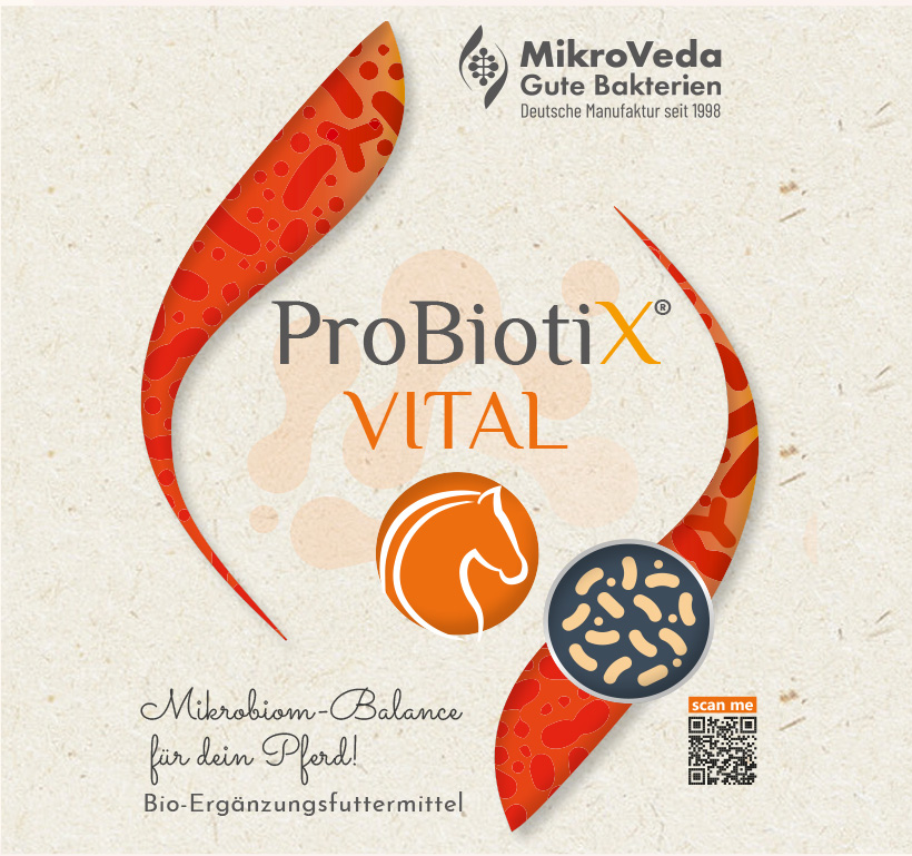 ProBiotiX VITAL Bio Ergänzungsfutter für Pferde