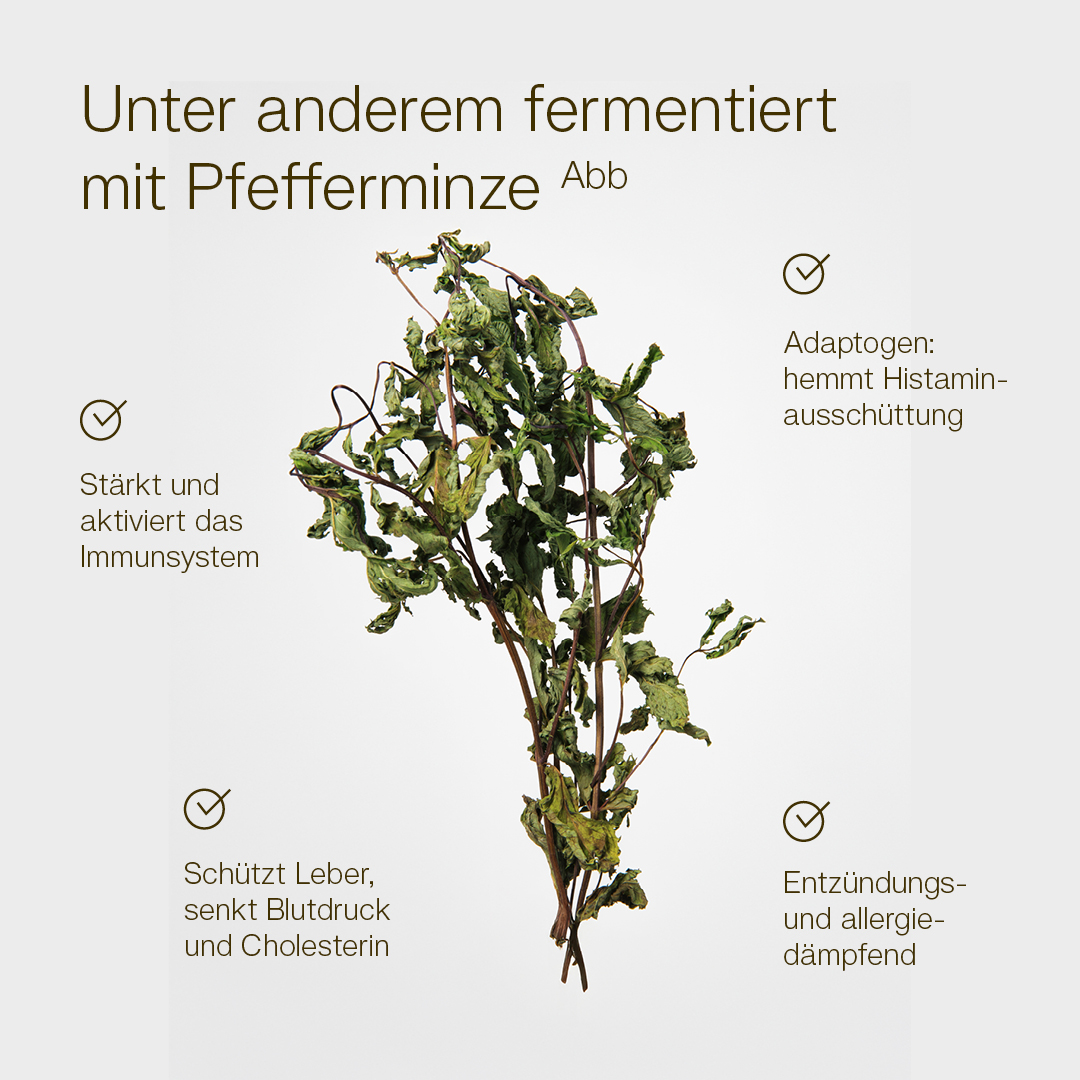 Kopie von MikroVeda ORAL MINT Mikrobiotisches Mundspray Bio 50 ml #1