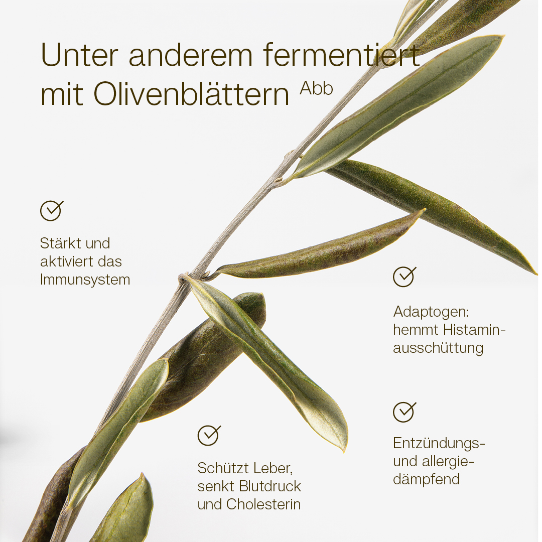 Kopie von MikroVeda LIFE+ Bio MikroorganismenFerment 0,5 Liter #1